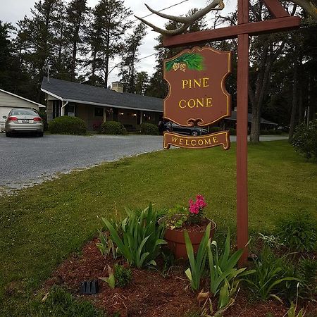 Pinecone Motel Сассекс Екстер'єр фото