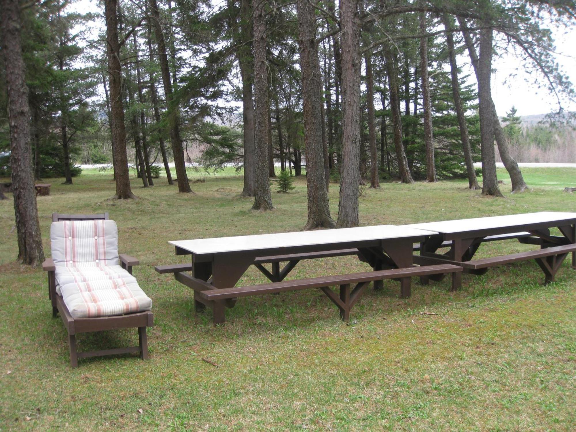 Pinecone Motel Сассекс Екстер'єр фото