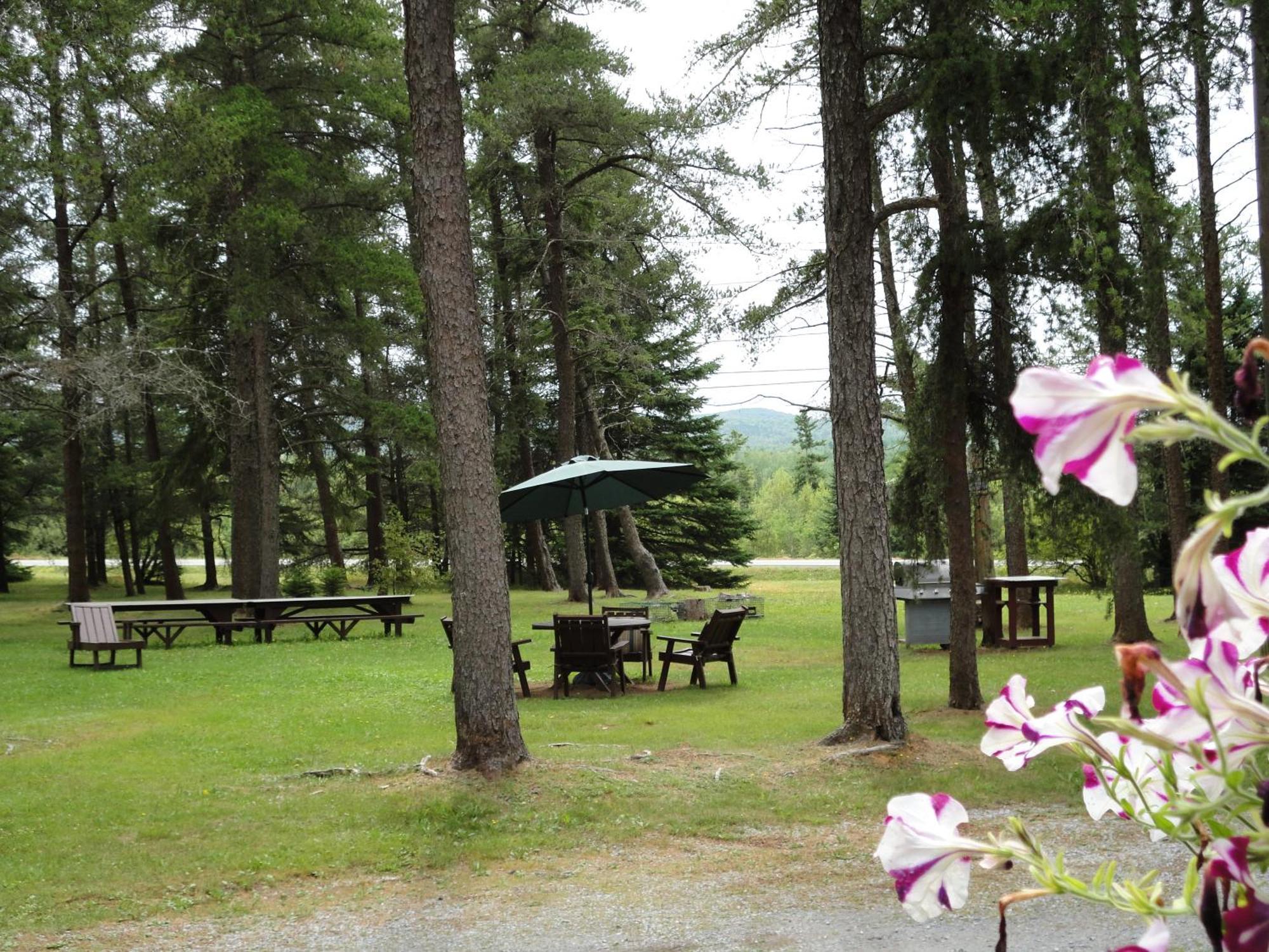 Pinecone Motel Сассекс Екстер'єр фото