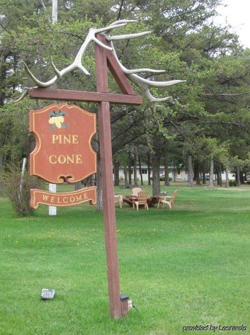 Pinecone Motel Сассекс Екстер'єр фото