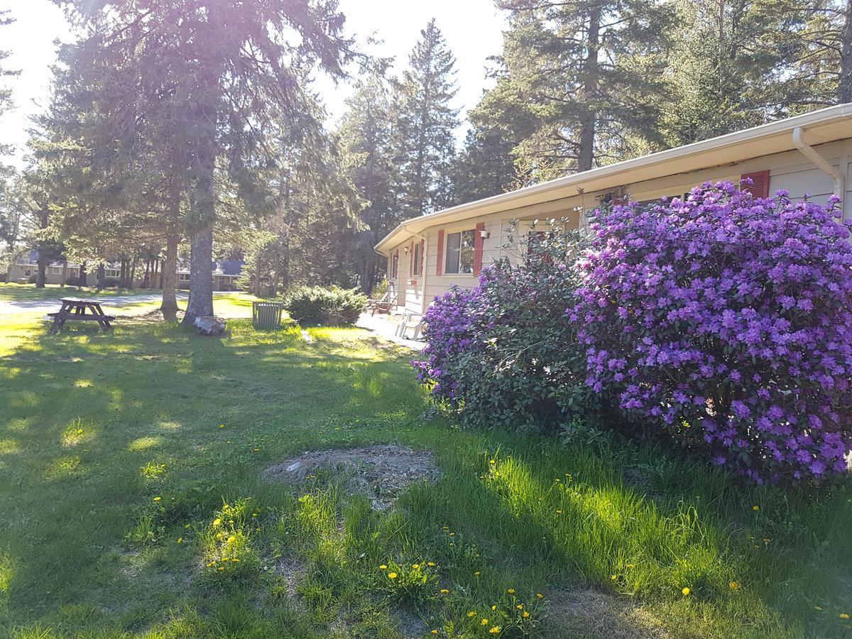 Pinecone Motel Сассекс Екстер'єр фото
