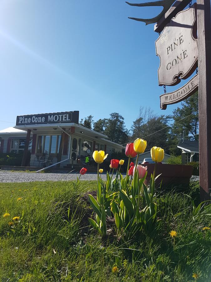 Pinecone Motel Сассекс Екстер'єр фото