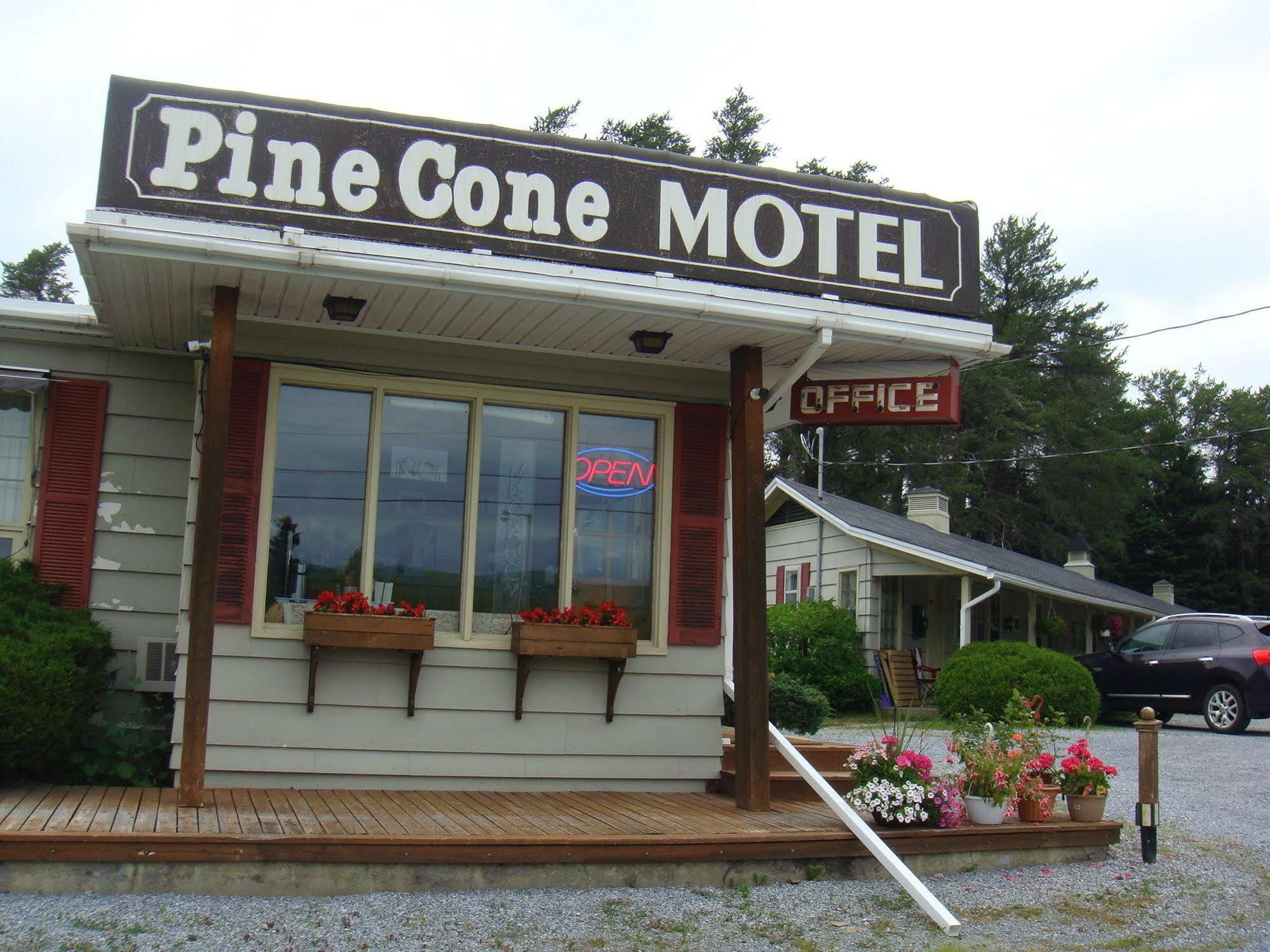 Pinecone Motel Сассекс Екстер'єр фото