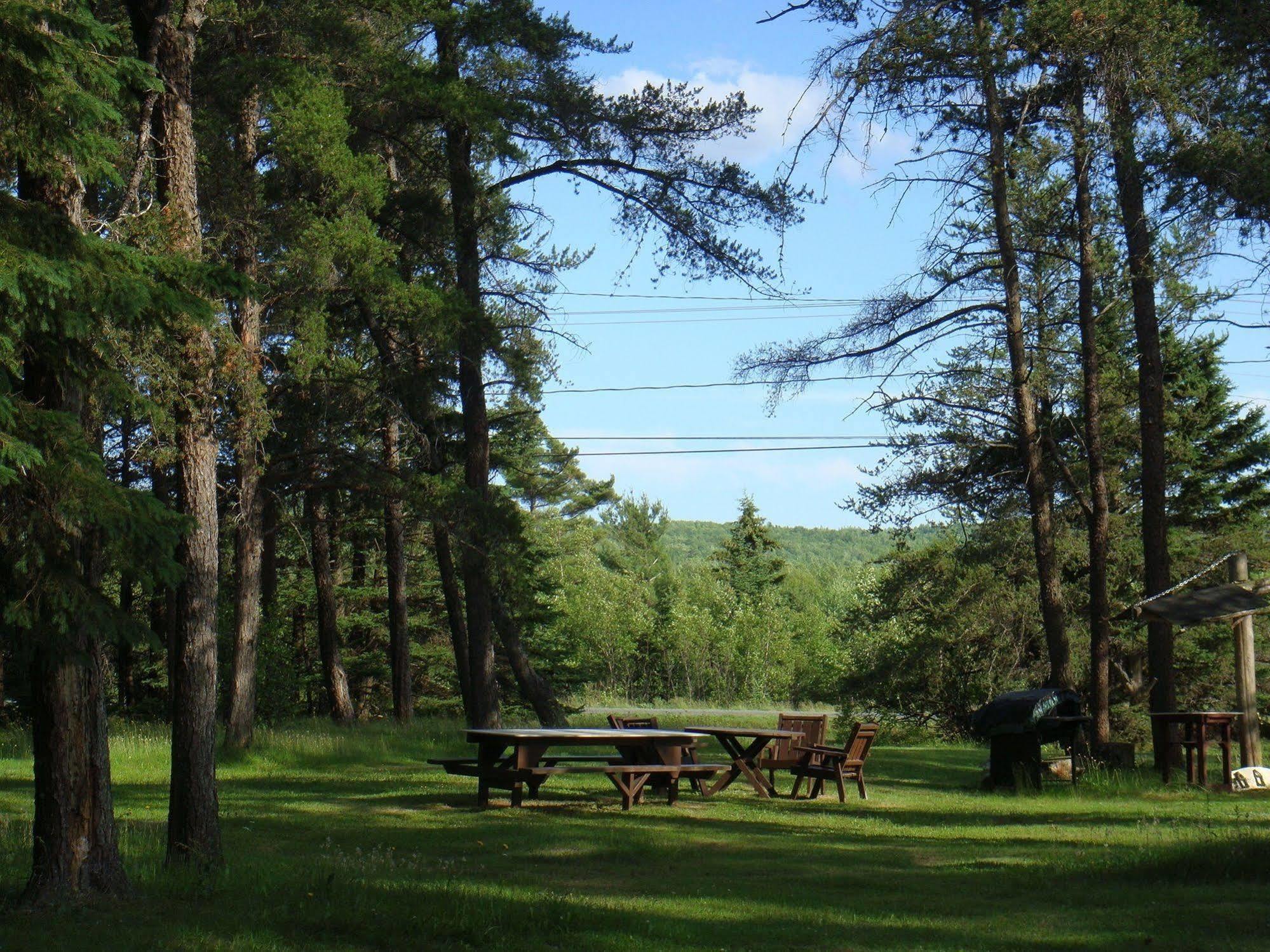 Pinecone Motel Сассекс Екстер'єр фото