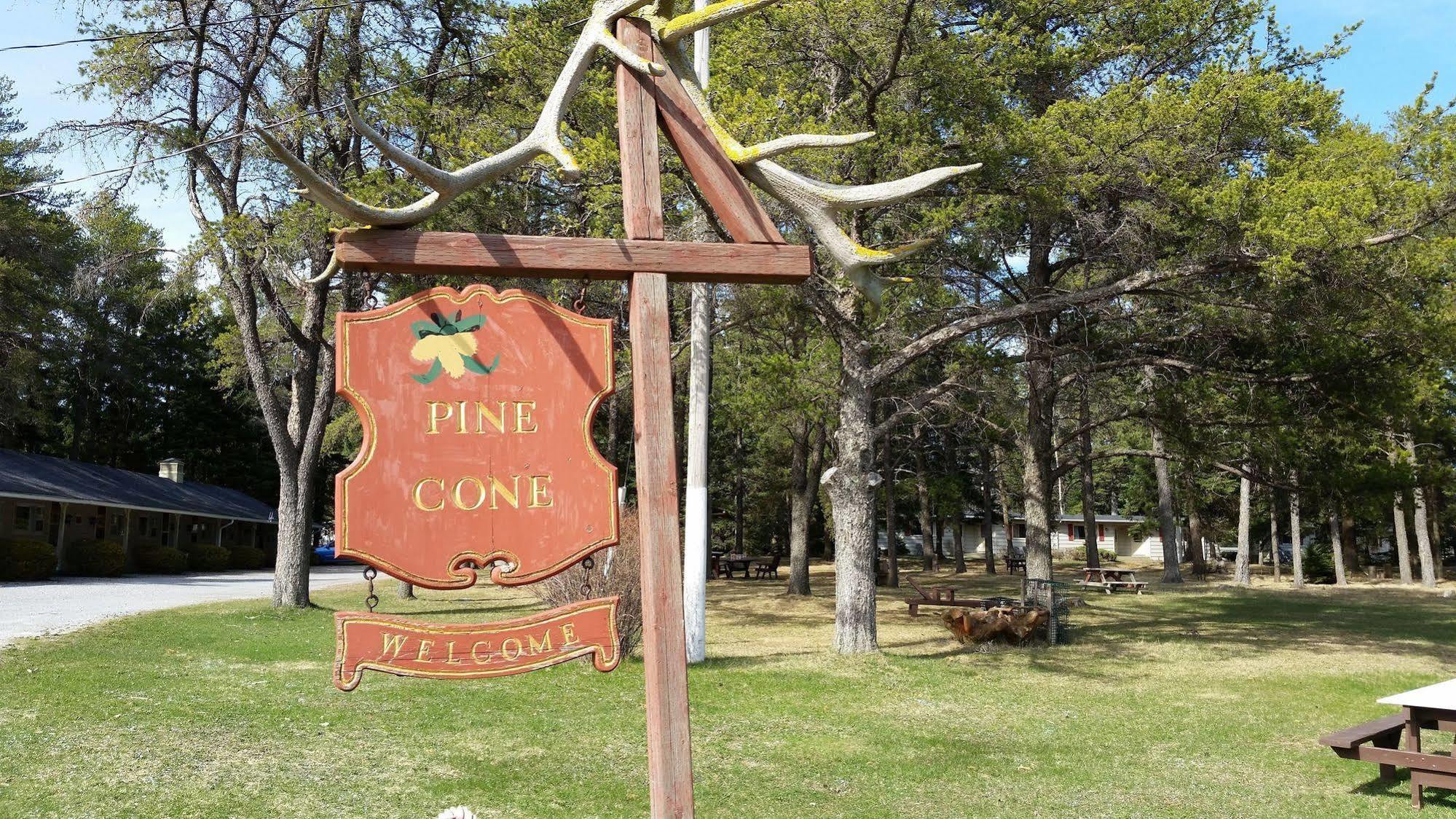 Pinecone Motel Сассекс Екстер'єр фото