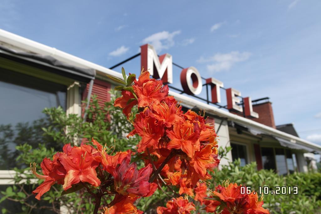 Pinecone Motel Сассекс Екстер'єр фото