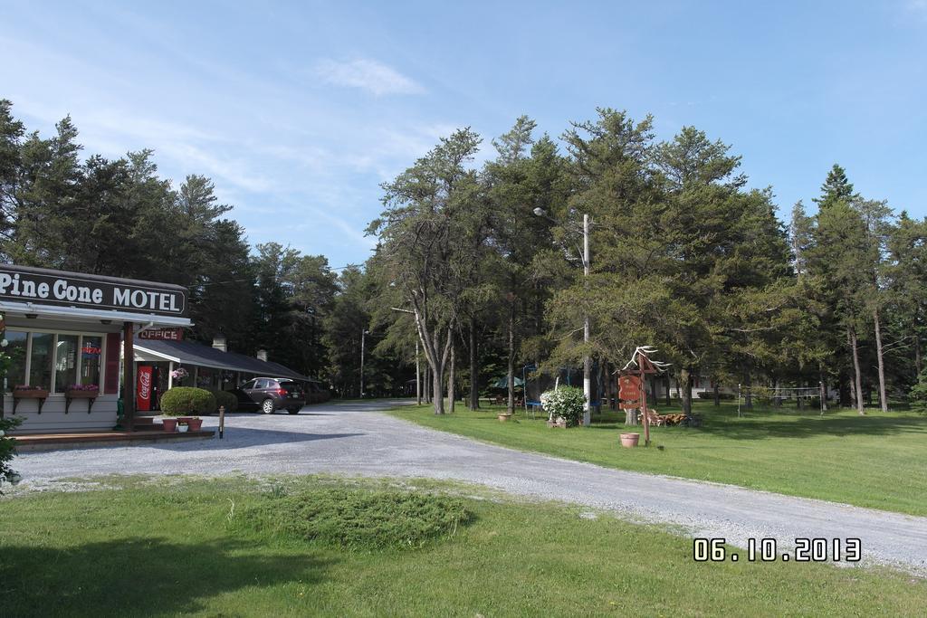 Pinecone Motel Сассекс Екстер'єр фото